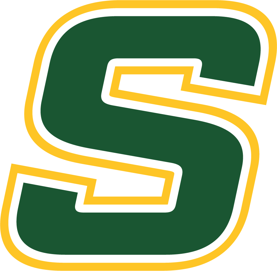 Southeastern Louisiana Lions 2021-Pres Secondary Logo v2 diy iron on heat transfer